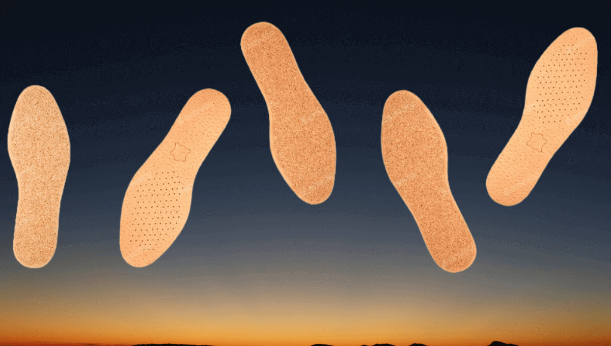 leather insoles